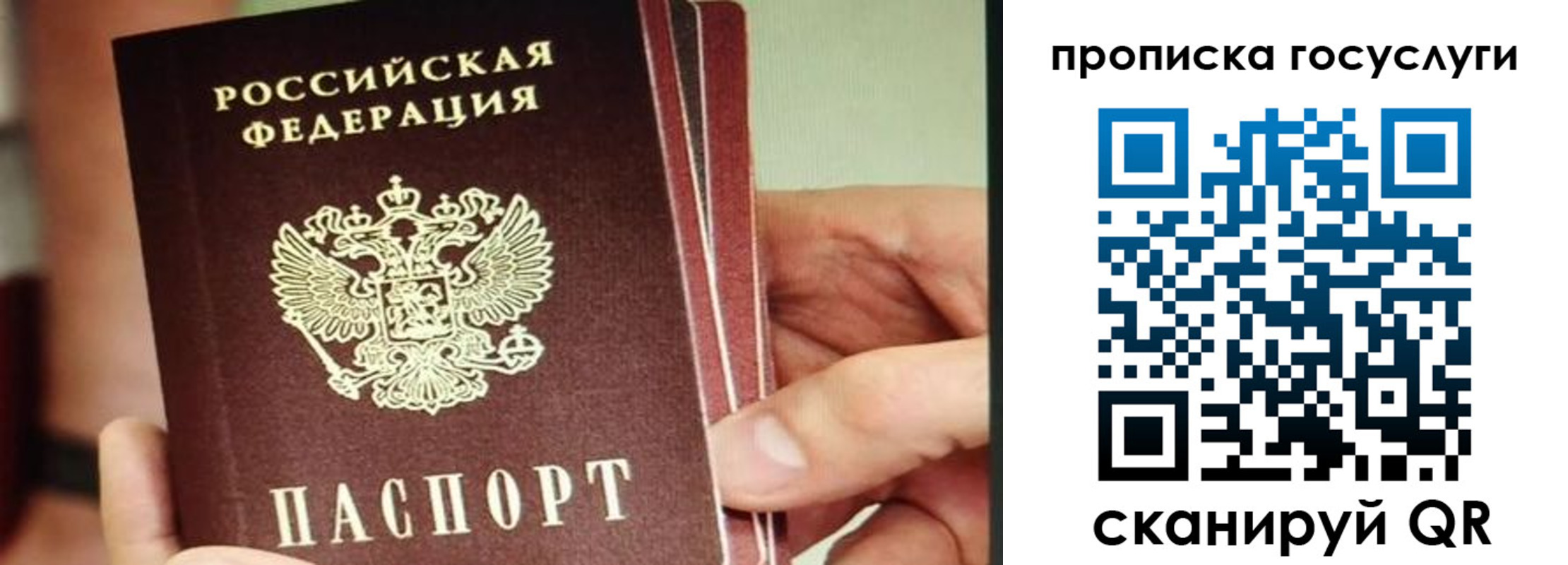 пропишу в квартире в Чайковском